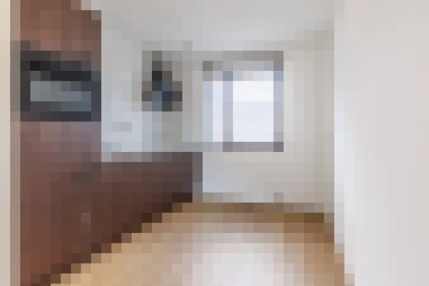 Linie 327 Apeldoorn thumbnail 4