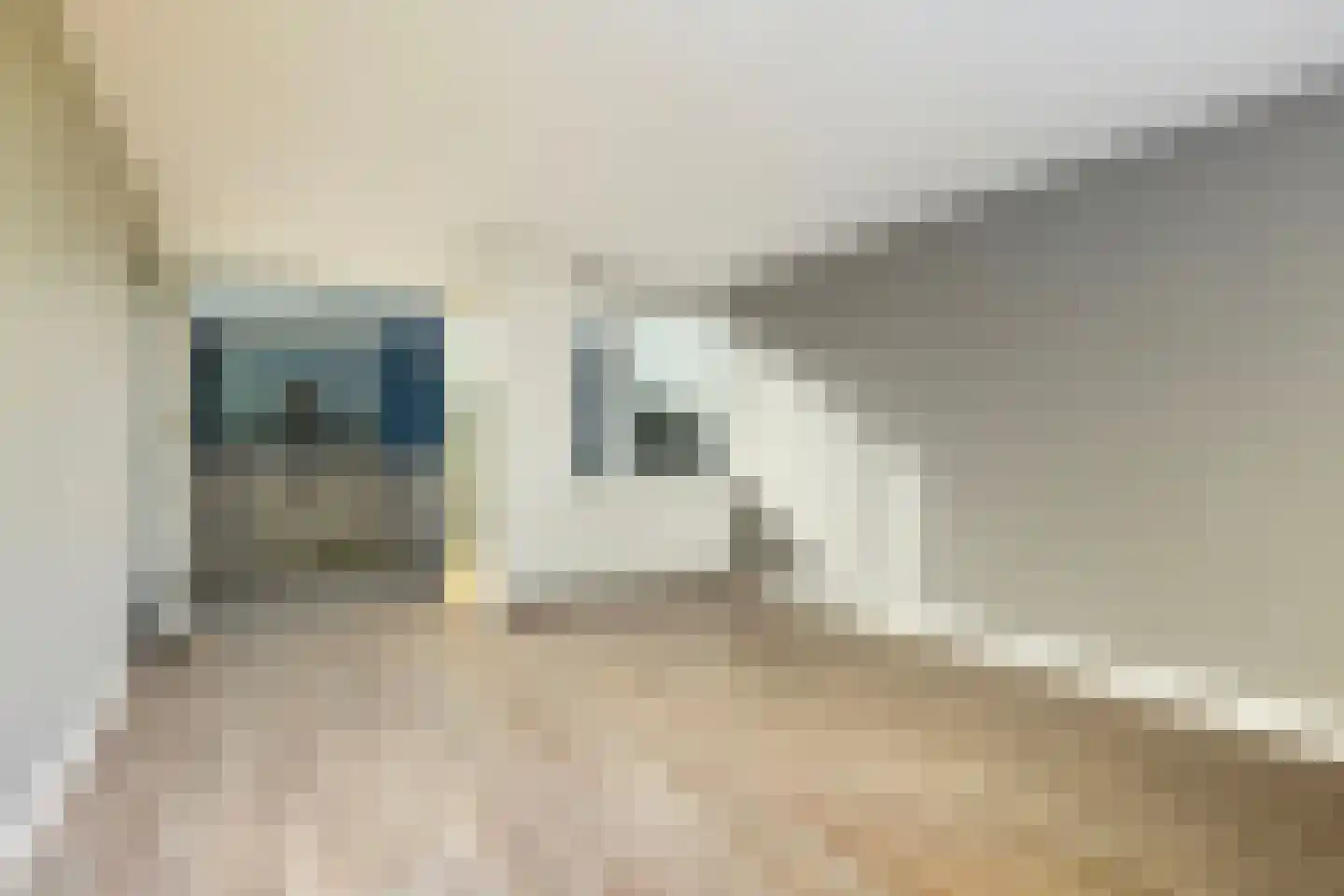 Linie 365 Apeldoorn thumbnail 19