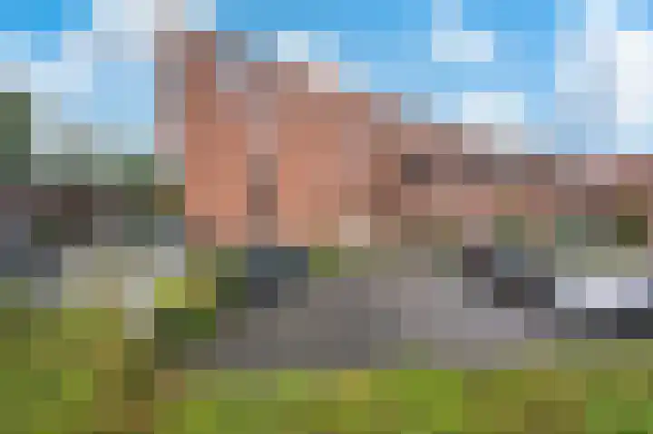 Linie 39 Apeldoorn thumbnail 27