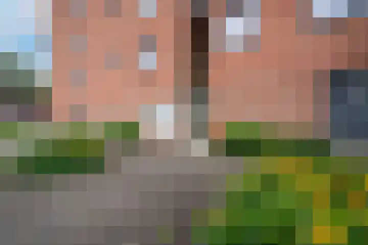 Linie 39 Apeldoorn thumbnail 29