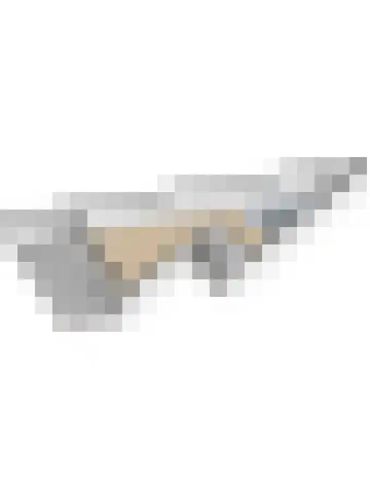 Linie 39 Apeldoorn thumbnail 31