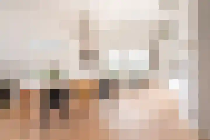 Linie 39 Apeldoorn thumbnail 4