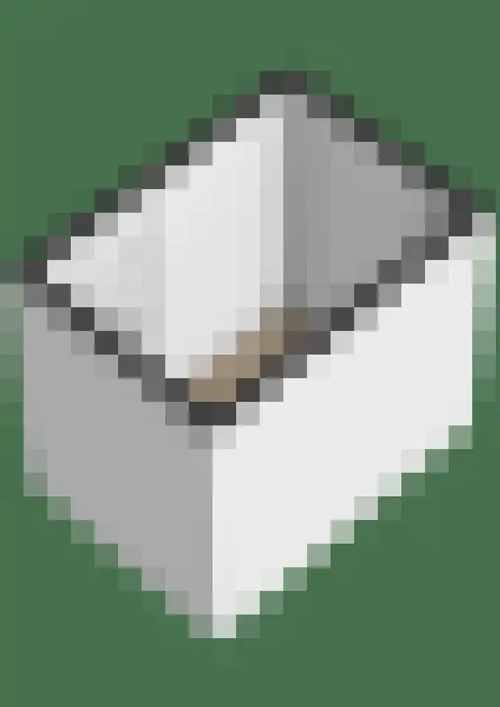 Linie 397 Apeldoorn thumbnail 22