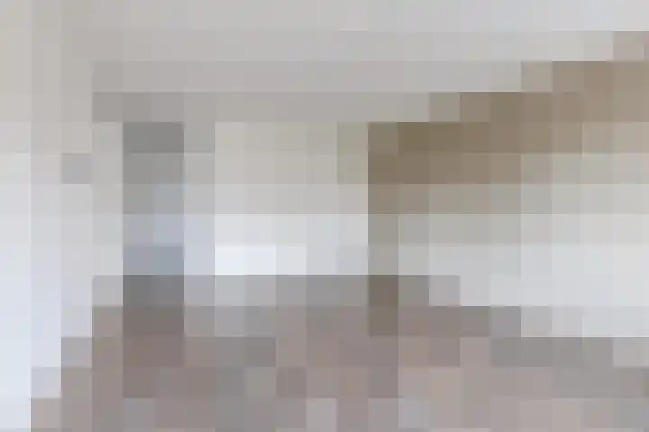 Linie 397 Apeldoorn thumbnail 5