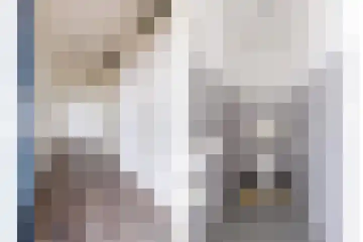 Linie 397 Apeldoorn thumbnail 9