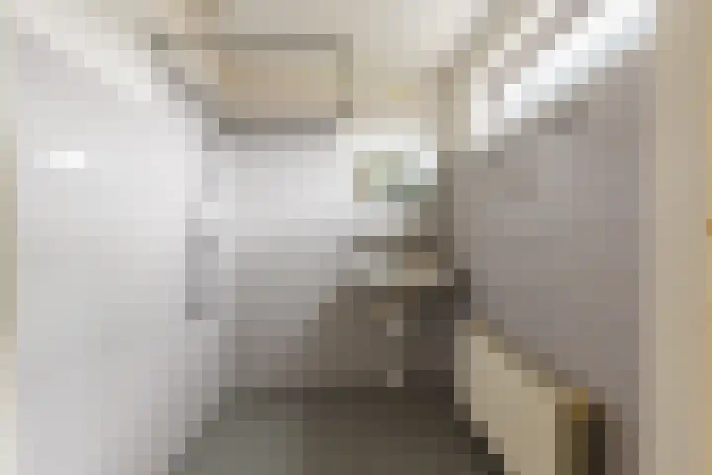 Linie 405 Apeldoorn thumbnail 11