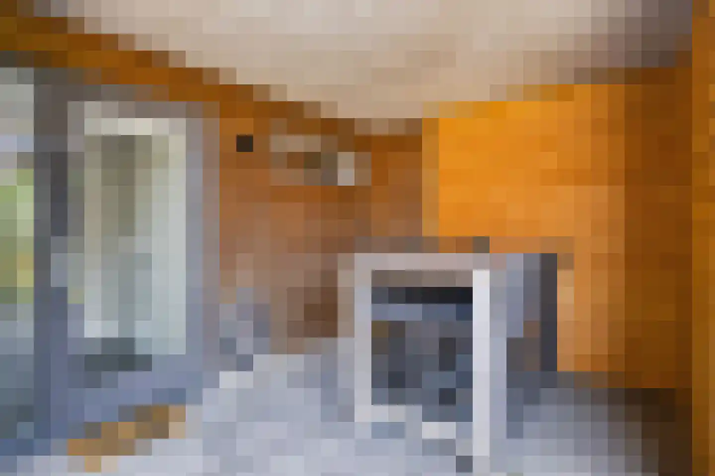 Linie 503 Apeldoorn thumbnail 23