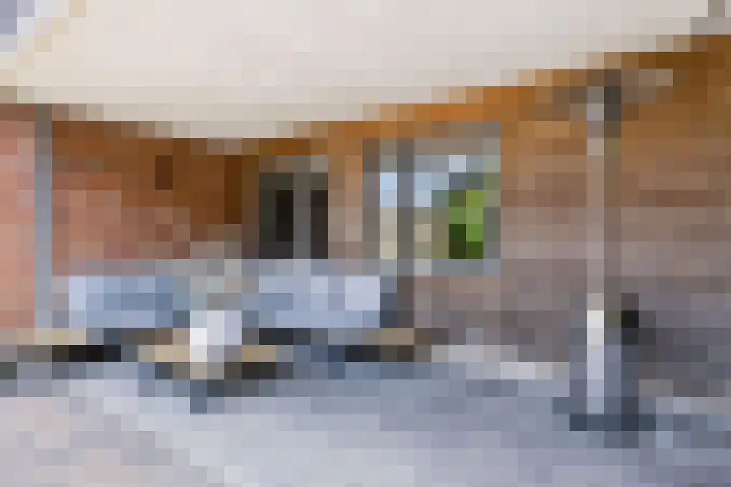 Linie 503 Apeldoorn thumbnail 25