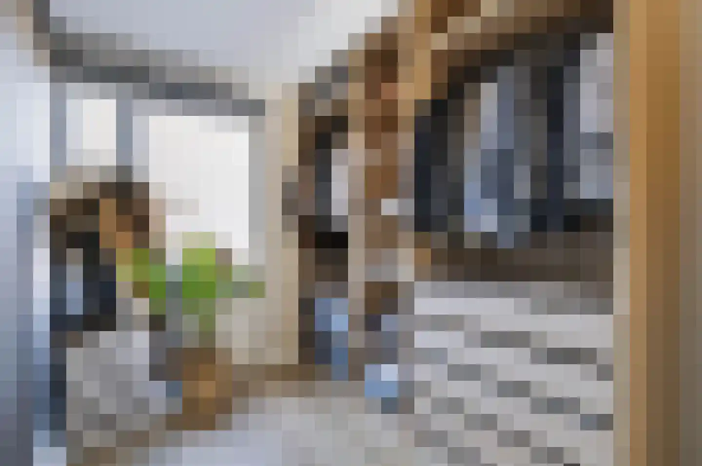 Linie 509 Apeldoorn thumbnail 22