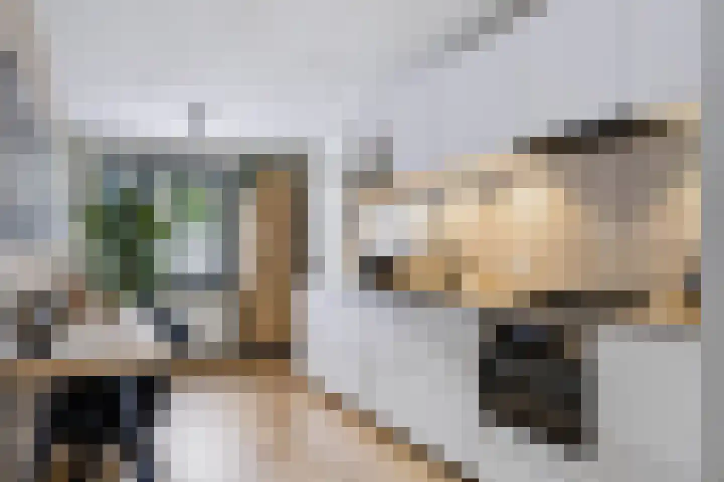 Linie 509 Apeldoorn thumbnail 4