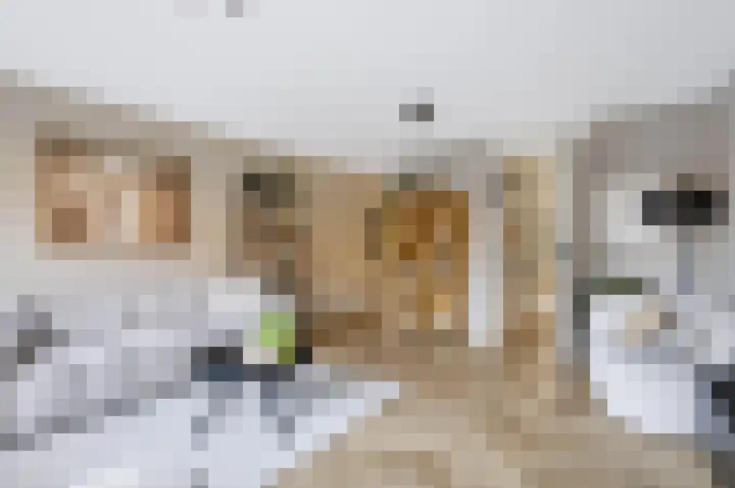 Linie 509 Apeldoorn thumbnail 9