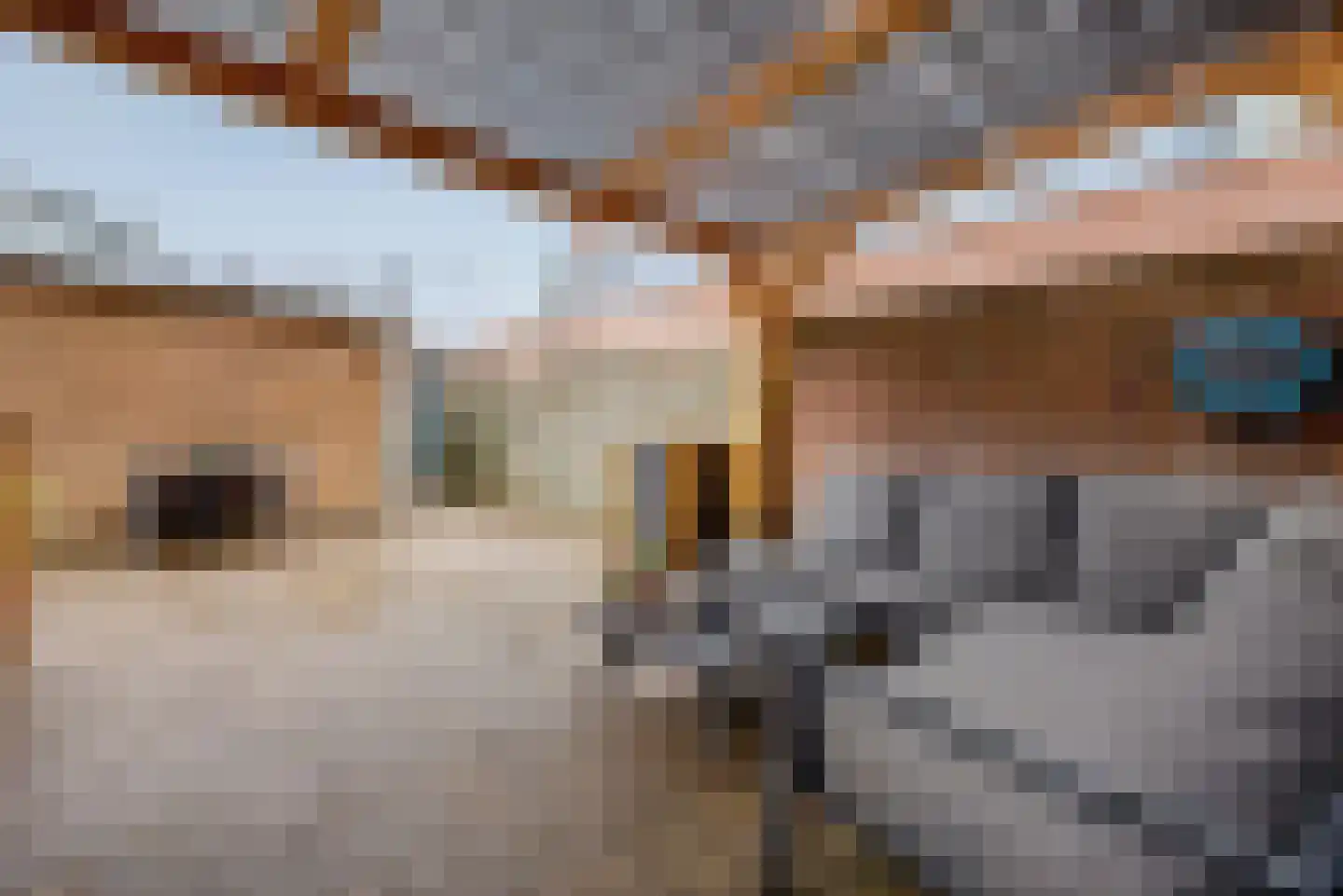 Linie 515 Apeldoorn thumbnail 27