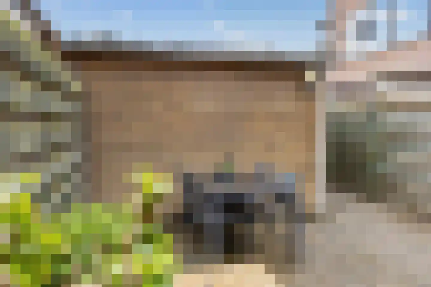 Linie 515 Apeldoorn thumbnail 29