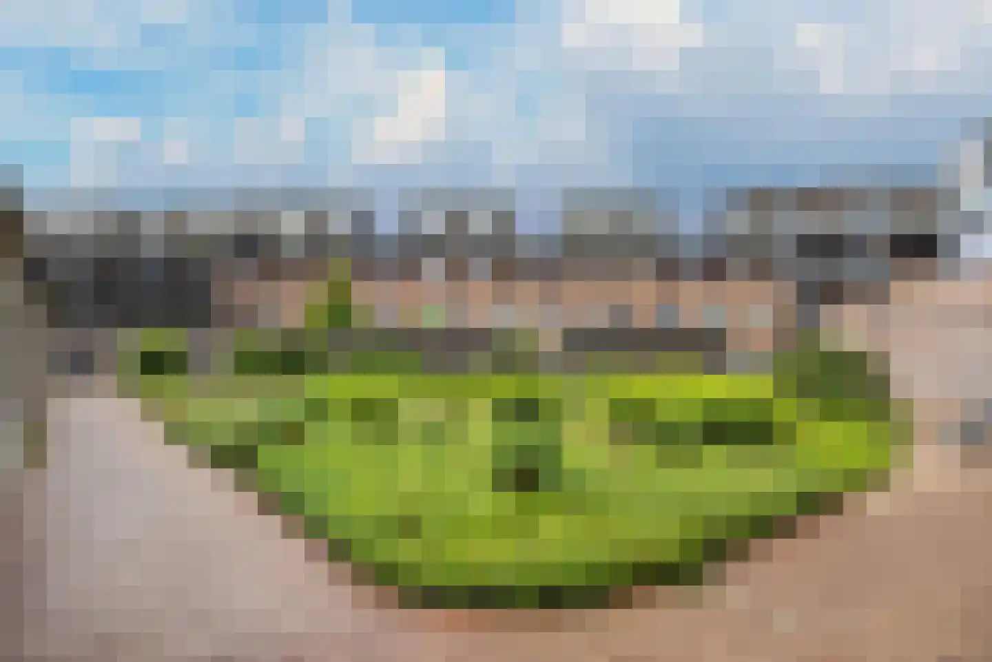 Linie 515 Apeldoorn thumbnail 31
