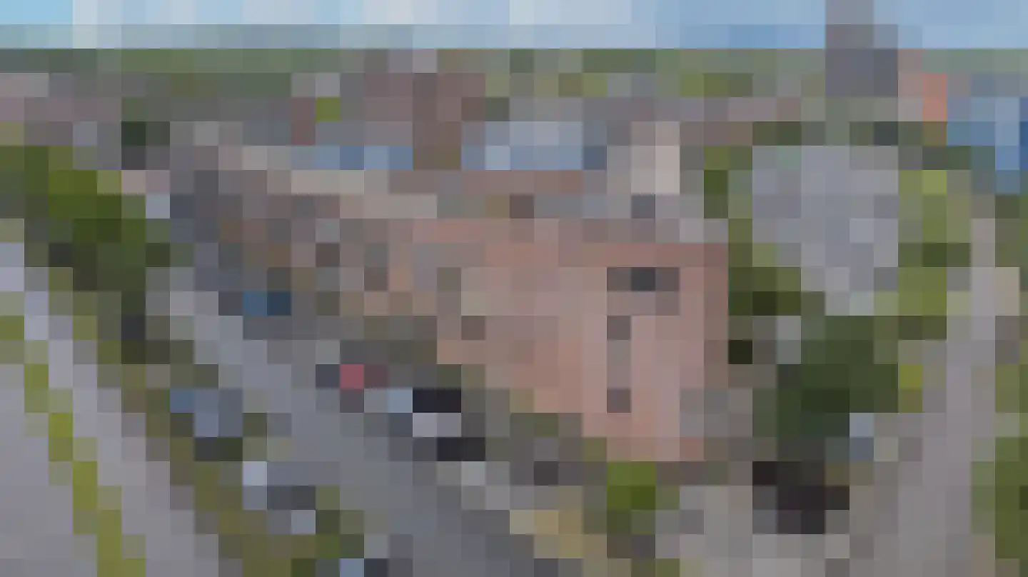 Linie 515 Apeldoorn thumbnail 39