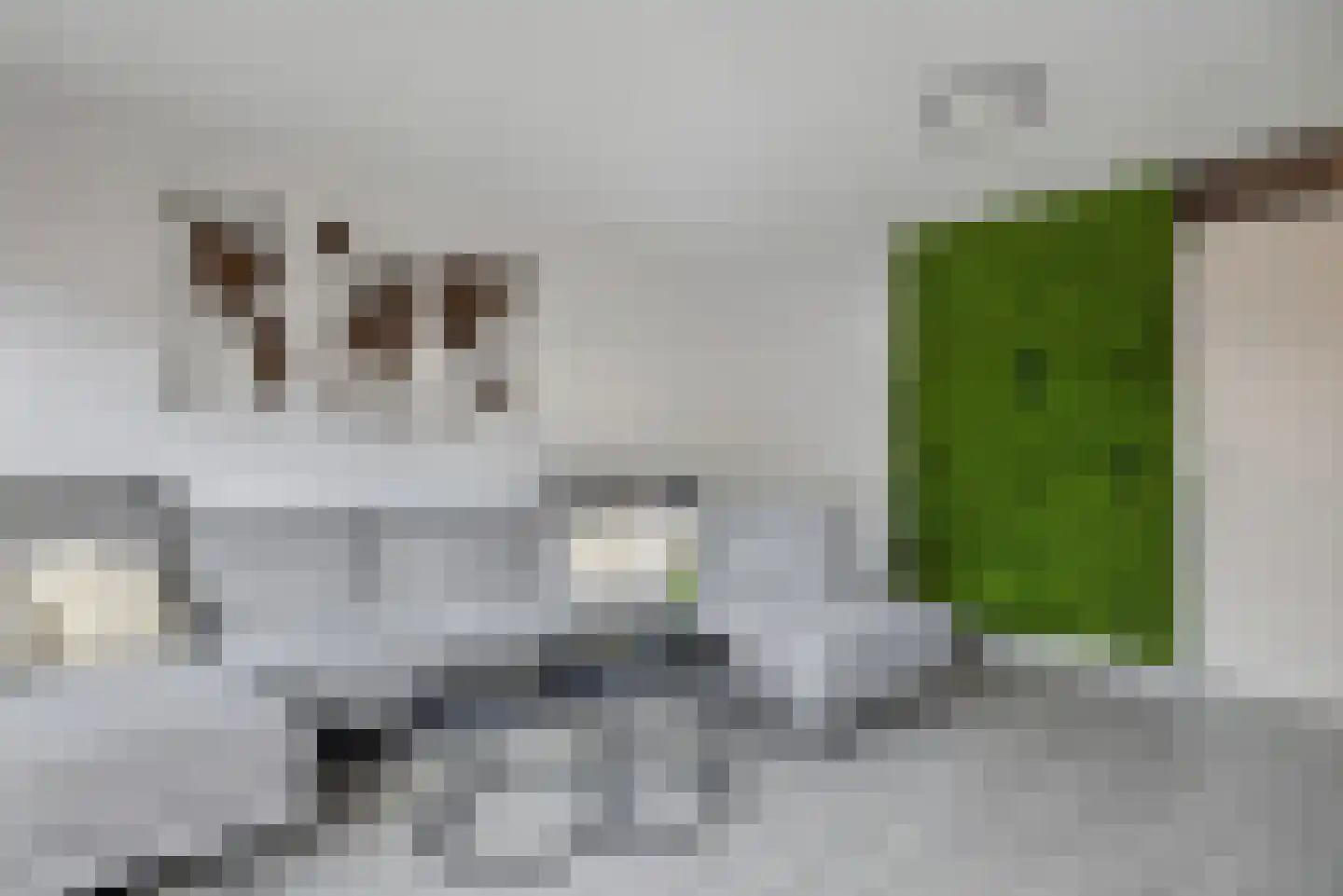 Linie 515 Apeldoorn thumbnail 5