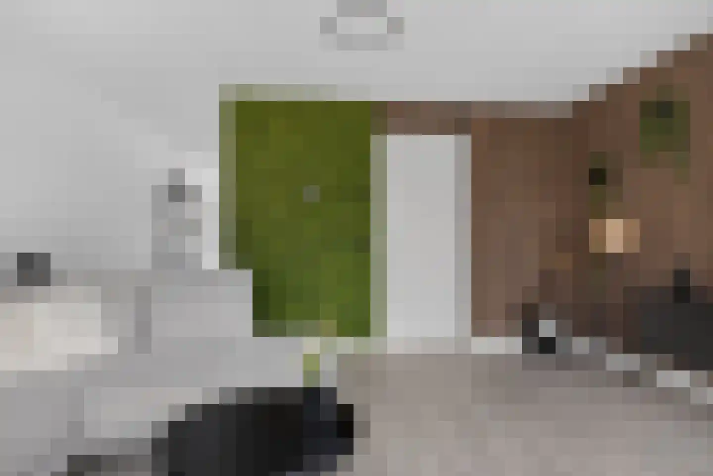 Linie 515 Apeldoorn thumbnail 6