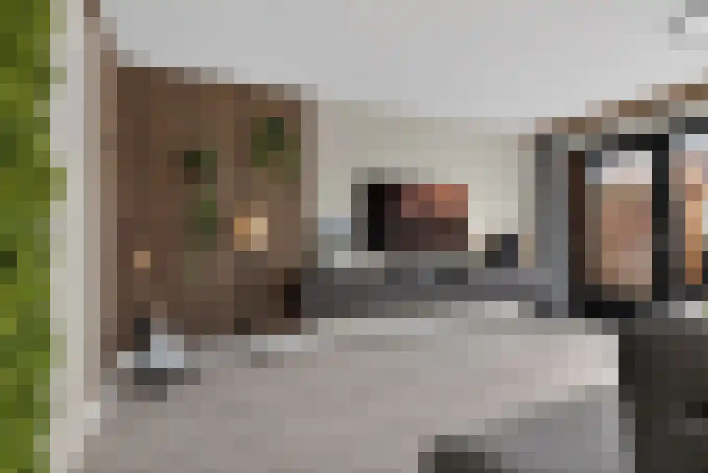 Linie 515 Apeldoorn thumbnail 7