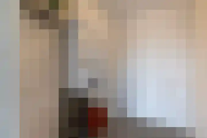 Linie 53 Apeldoorn thumbnail 29