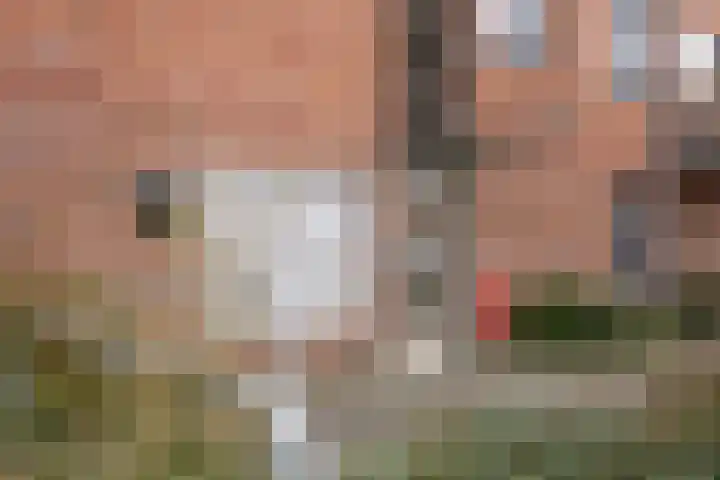 Linie 53 Apeldoorn thumbnail 5
