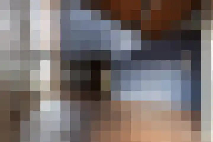 Linie 53 Apeldoorn thumbnail 8