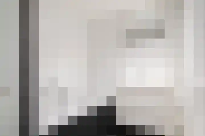 Linie 557 Apeldoorn thumbnail 12