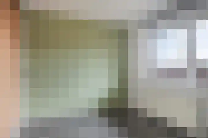 Linie 557 Apeldoorn thumbnail 13