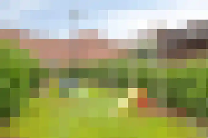 Linie 557 Apeldoorn thumbnail 14