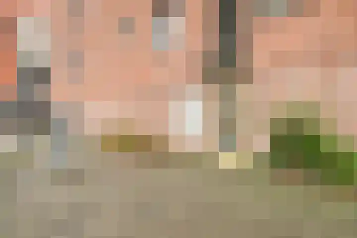 Linie 557 Apeldoorn thumbnail 16
