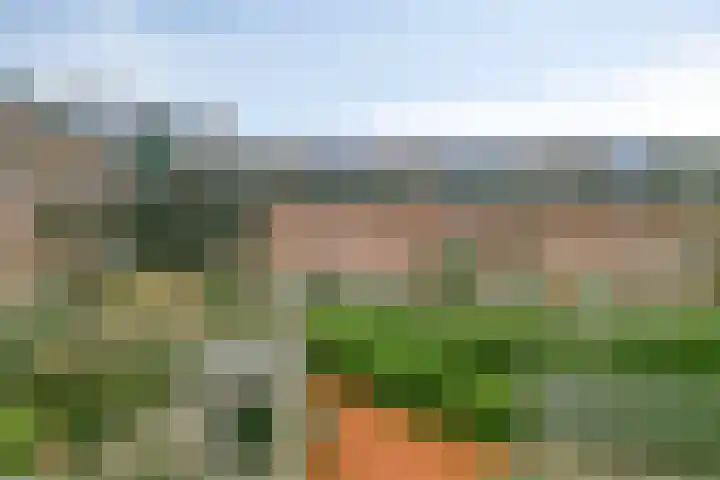 Linie 557 Apeldoorn thumbnail 20