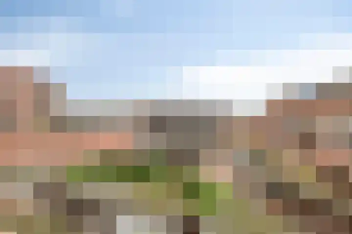 Linie 557 Apeldoorn thumbnail 21