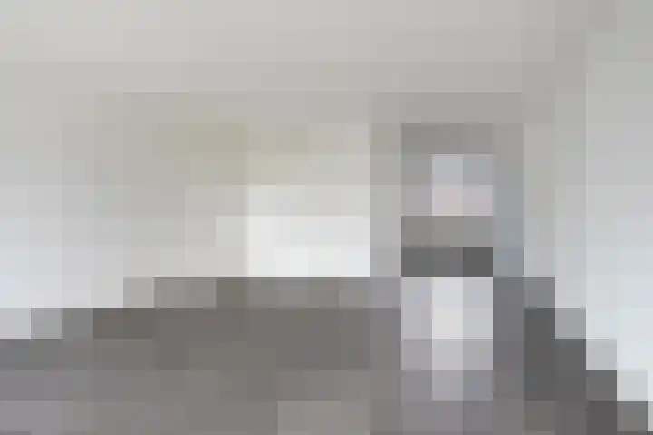 Linie 557 Apeldoorn thumbnail 8