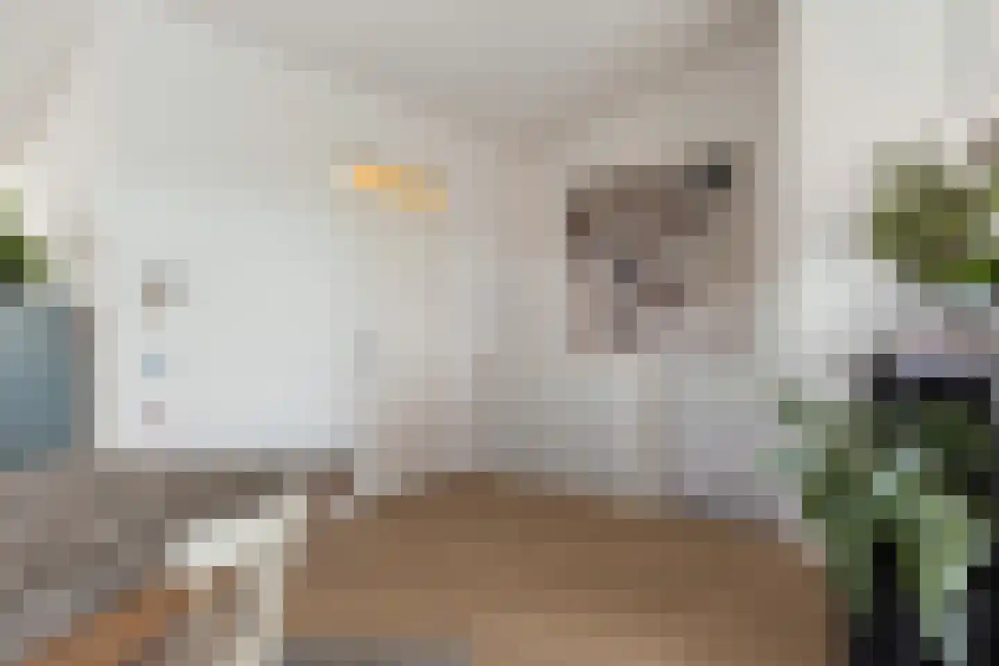 Linie 575 Apeldoorn thumbnail 32