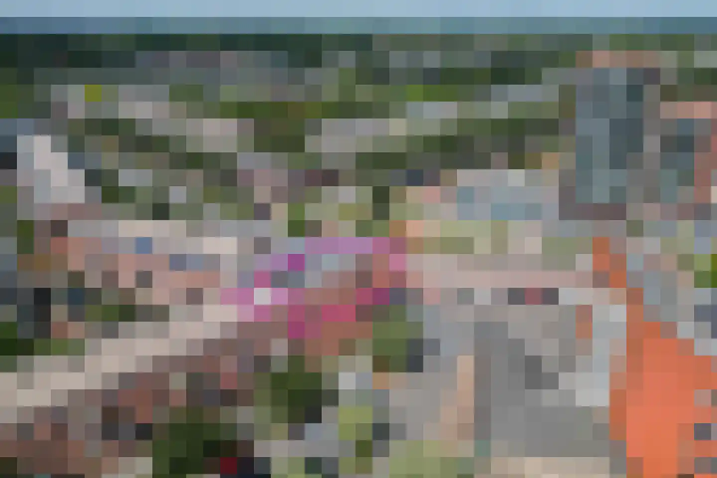 Linie 575 Apeldoorn thumbnail 36