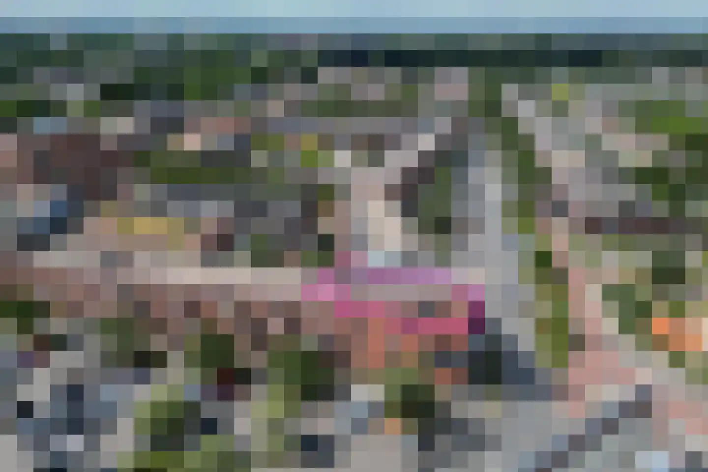 Linie 575 Apeldoorn thumbnail 37