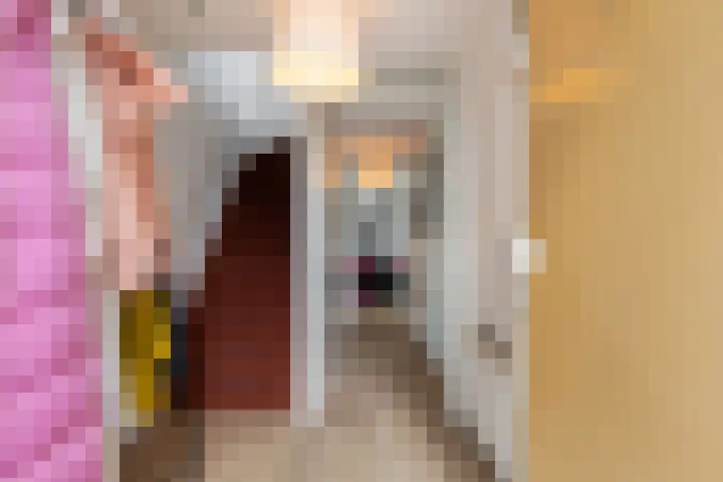 Linie 575 Apeldoorn thumbnail 8