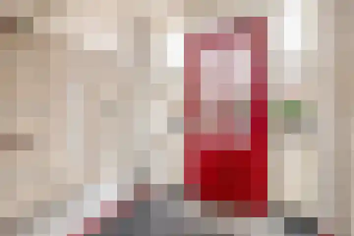 Linie 58 Berkel en Rodenrijs thumbnail 10