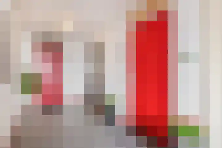 Linie 58 Berkel en Rodenrijs thumbnail 13