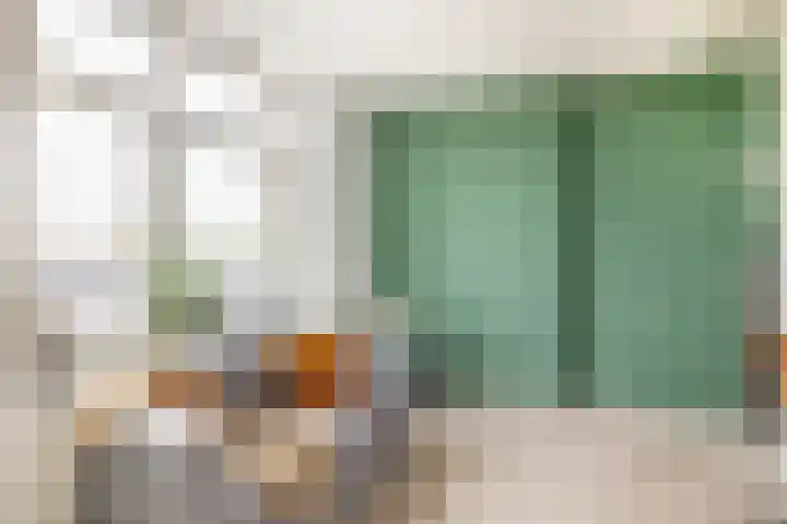 Linie 58 Berkel en Rodenrijs thumbnail 16