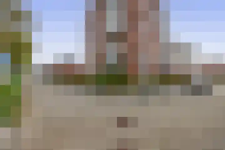 Linie 58 Berkel en Rodenrijs thumbnail 5