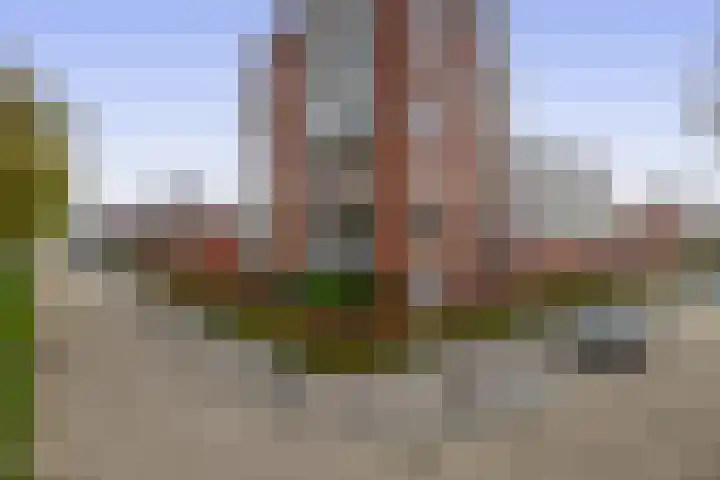 Linie 58 Berkel en Rodenrijs thumbnail 6