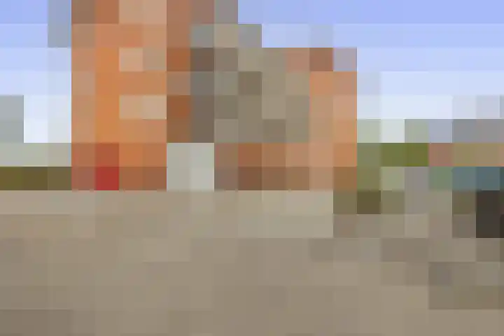 Linie 58 Berkel en Rodenrijs thumbnail 8