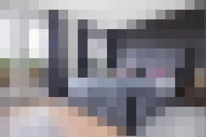 Linie 59 Apeldoorn thumbnail 11