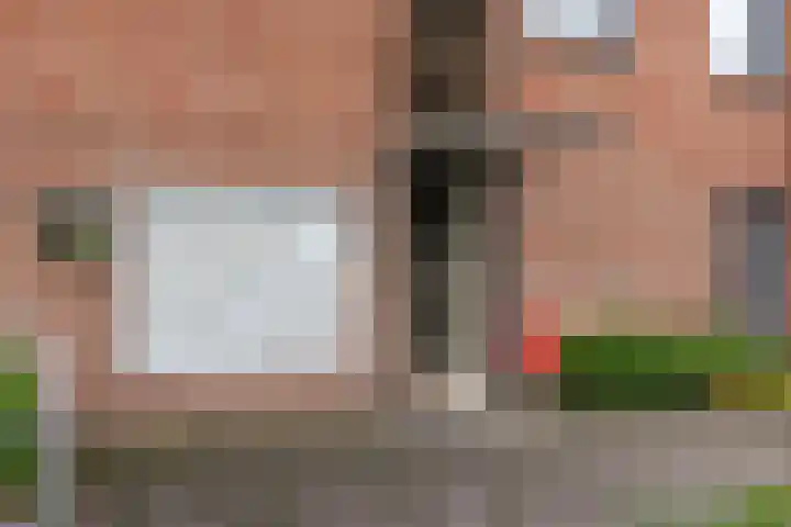 Linie 59 Apeldoorn thumbnail 25