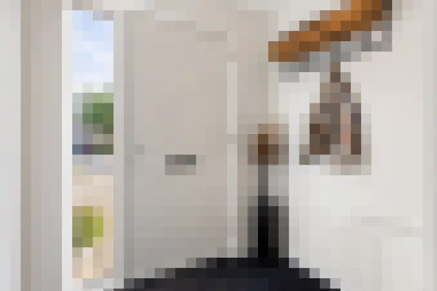 Linie 597 Apeldoorn thumbnail 13