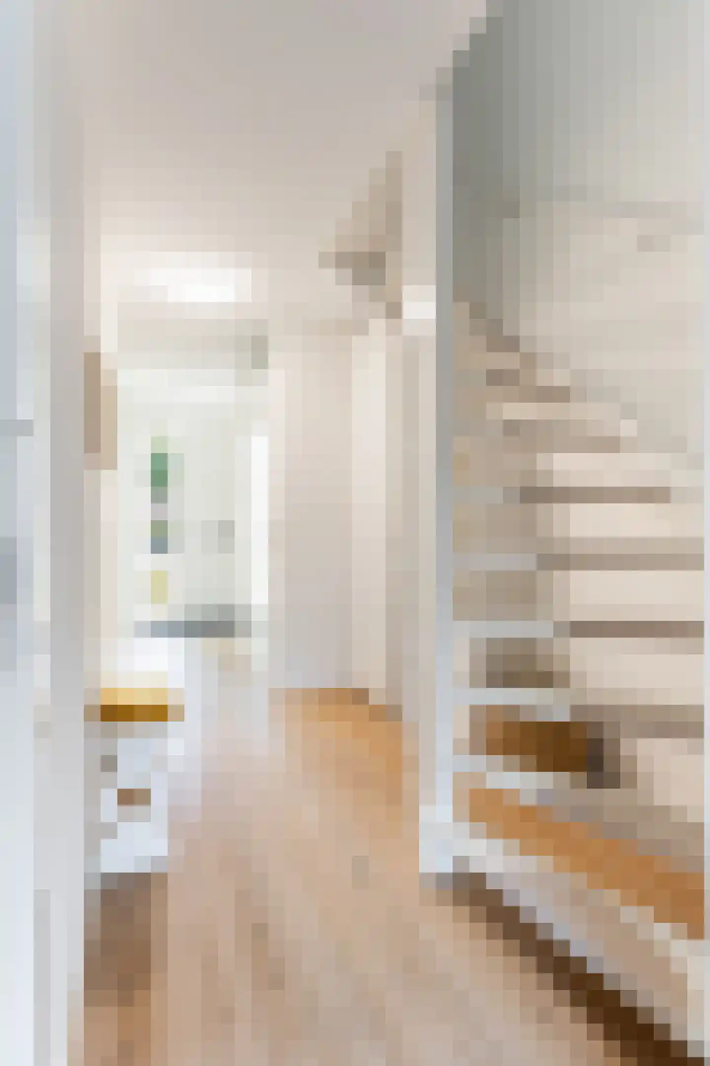 Linie 597 Apeldoorn thumbnail 15