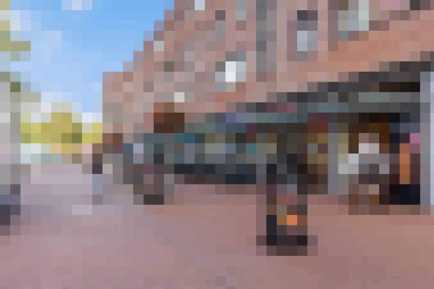 Linie 597 Apeldoorn thumbnail 29