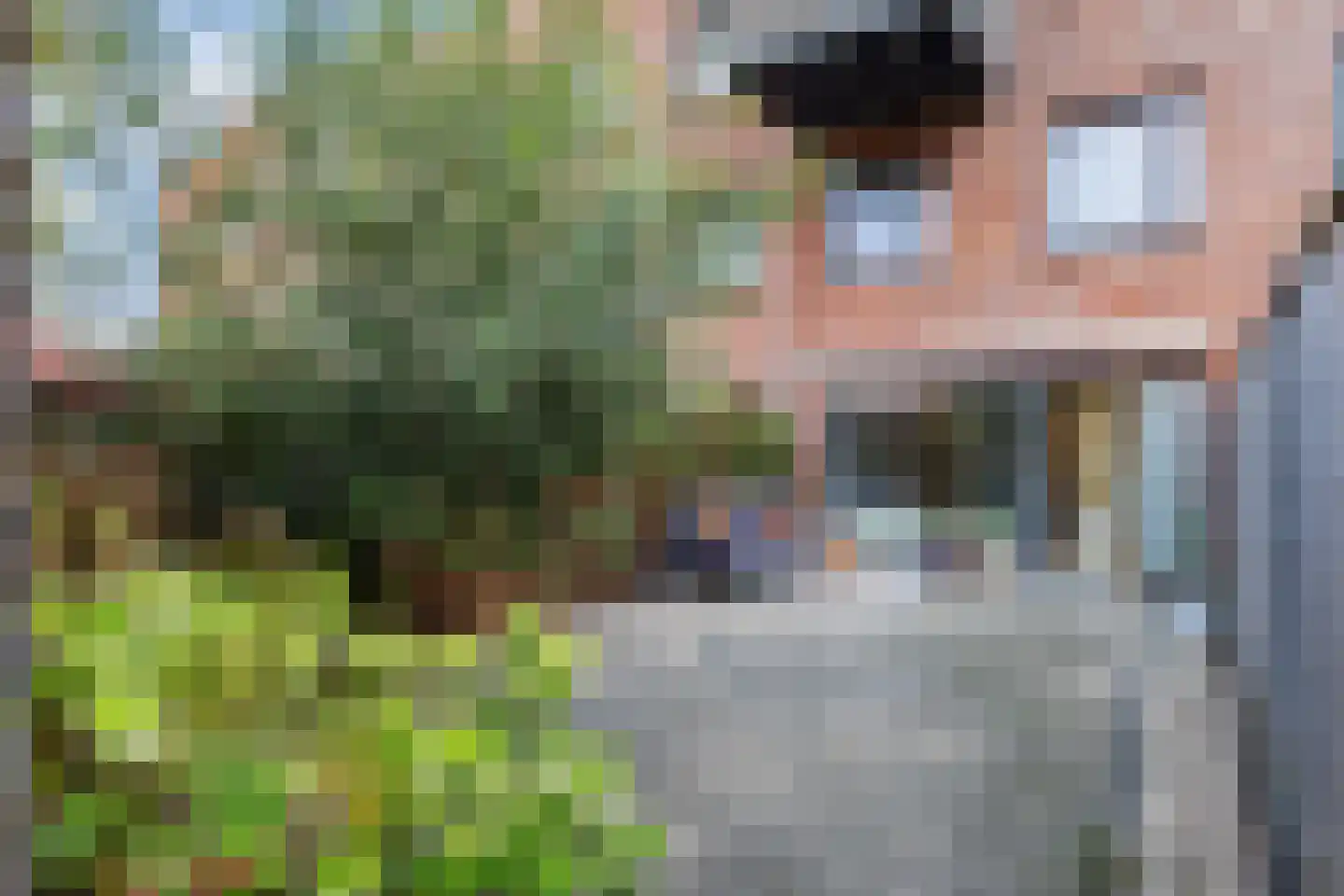 Linie 597 Apeldoorn thumbnail 7