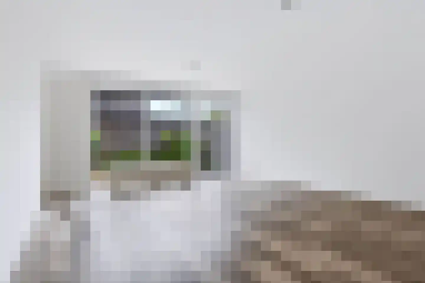 Linie 609 Apeldoorn thumbnail 10
