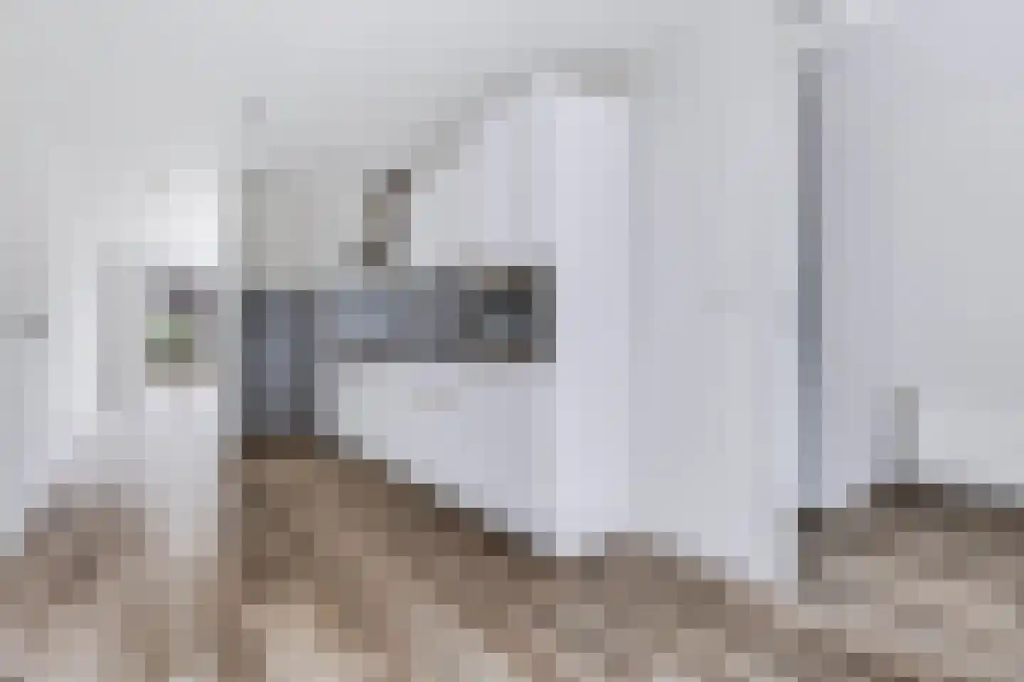Linie 609 Apeldoorn thumbnail 18
